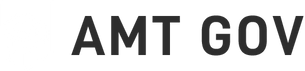 AMT GOV INC